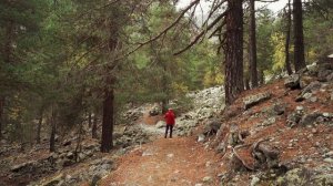 Svaneti - Mestia and Chaladi. Silent Hiking