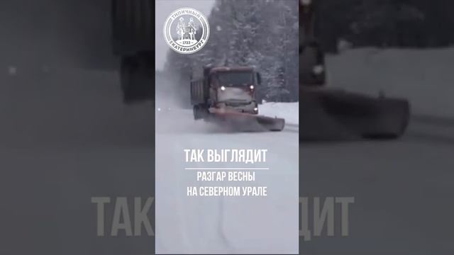 Весна на Урале выглядит как то так...