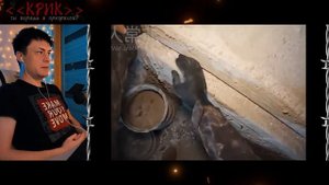 Реакция на СТРАШНЫЕ видео, которые Вы никогда раньше не видели!