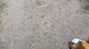 Херсонщина 18 января 2025 года