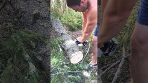 пила аккумуляторная deco DKCHS 20V