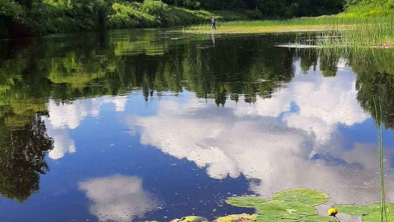 Туризм и отдых в лесах Архангельской области.