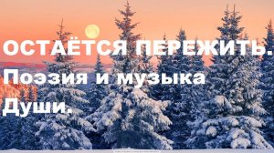 ОСТАЁТСЯ  ПЕРЕЖИТЬ. Автор стихотворения и видео А. Соколов.