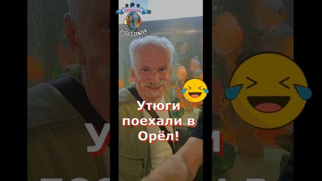 Теперь дискус есть в Орле!