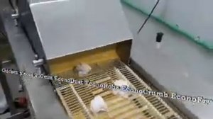 Chicken - 200mm EconoDust, EconoRobe, EconoCrumb, Econofry