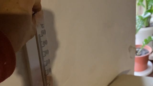 Есть такие куры, яйцекладка с 16 недель порода Бресс Гальцы Немецкая селекция Украина смотреть онлайн