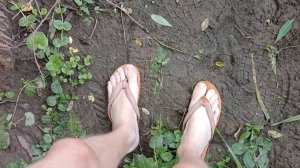 Увяз в вязкой грязи по бёдра