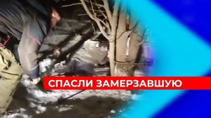 Нижегородские поисковики нашли и спасли находившуюся 12 часов в лесу пожилую женщину