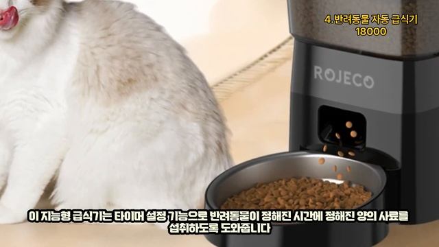 알리 6월 핫세일 가성비제품 추천