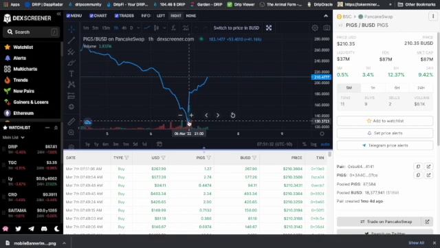 Buying and staking Pancake on pancake swap смотреть онлайн