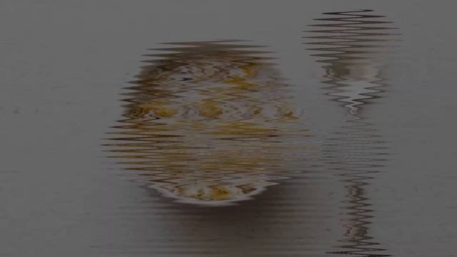 44 Best Foods Diabetic Food To Maintain Blood Sugar Levels смотреть онлайн