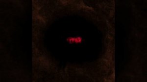 я люблю тебя больше чем аниме и вечно могу на тебя смотреть