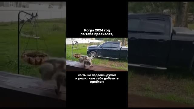 Если прошлый год размотал тебя или твою подругу по полной, кинь ей это видео.