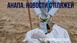 16 - 17 января 2025 Анапа, новости с пляжей, продолжается уборка мазута на берегу и в море