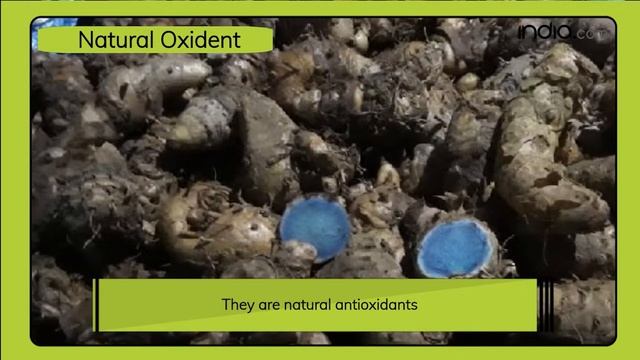 Black Turmeric Health Benefits | Health Tips | Kaali Haldi Ke Faayadein