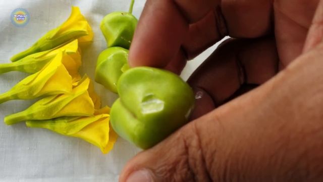 संजीवनी बूटी भी फेल है इसके आगे, धरती का अमृत है अगर कहीं मिल जाए तो छोडनामत смотреть онлайн