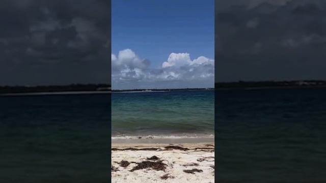 #beach #beaches #beachlife #beachvibes #subscribe #shortvideo #shortsvideo #relax #beautiful