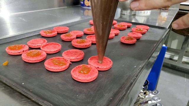 Macarons in Rational. смотреть онлайн