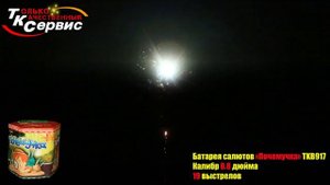 TKB917 Почемучка 19*0,8