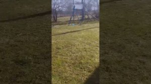 Аисты на даче. Делаем для аистов гнездо, заселение.