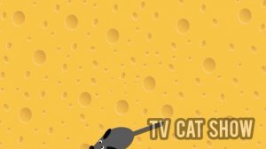 Мульт для кошек, рыбка, мышка,муха маячят на экране!TV Cat Show