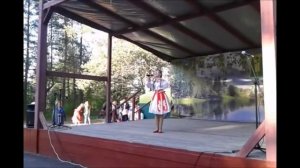 Гармонь моя