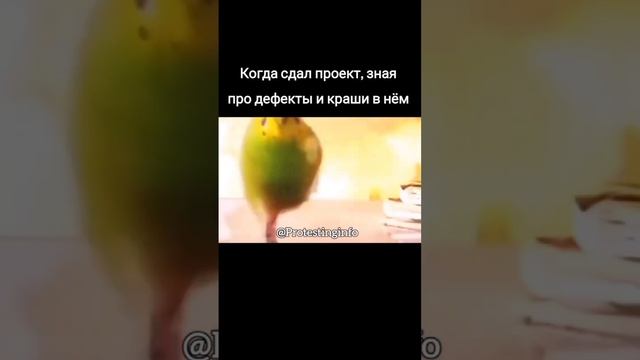 Да-да! #тестированиепо #тестировщик #юмор #тестирование #мем #shorts смотреть онлайн