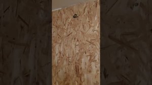 обшиваю гараж