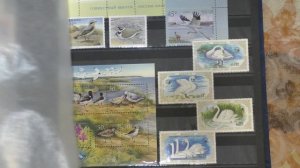 Почтовые Марки- продажа-Птицы(2 часть) 2023г.Филателия,г.Энгельс.