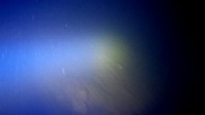 Подводный ночной поиск янтаря с ультрафиолетом с Z270.