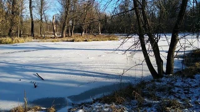 ЖЕРЛИЦЫ. ЩУКА. 2020 ГОД. смотреть онлайн