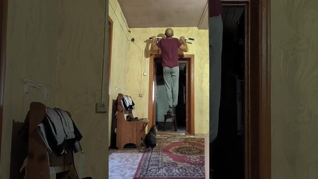 26 тренировка с петлями/ подтягивания45/отжимания третий круг петли 26 мм смотреть онлайн