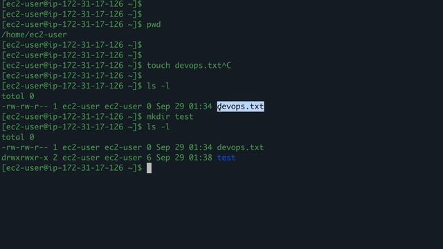 Linux File permissions and Ownership Explained