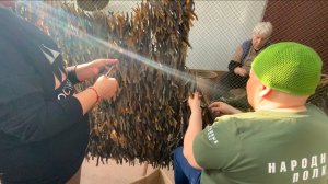 Дед  расписался на Рейхстаге