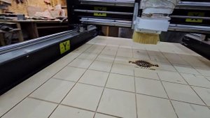 15 июня 2024 г.