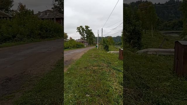 Аркуль