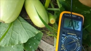 Электрогрядка Почеевского   новое для сада огорода