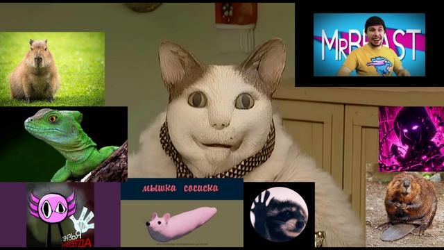 Сборник песен