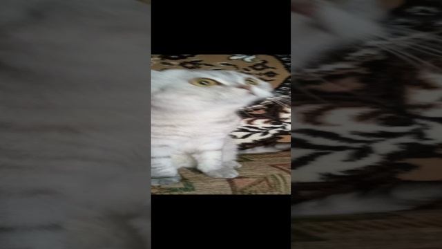 здравствуйте
