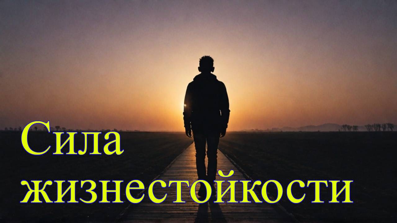 Откройте для себя силу жизнестойкости: Поэтическое путешествие от тьмы к рассвету  #мудрость #поэзия