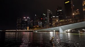 Singapore River Cruise at Night Full Tour | Marina Bay Sands & Landmarks