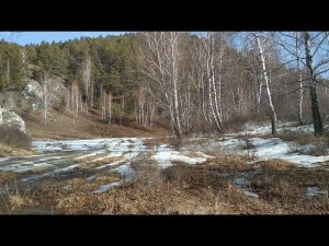 Журчат ручьи 🌊 (с. Боград, Хакасия) 19.03.2023г