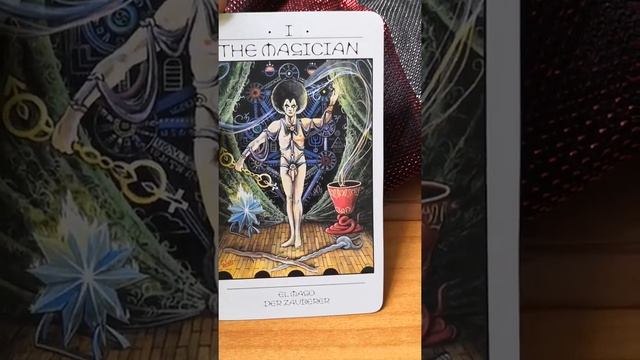 Таро карта дня смотреть онлайн