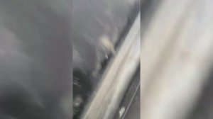 Эпидемия у FORD EDGE (1G) по помпам