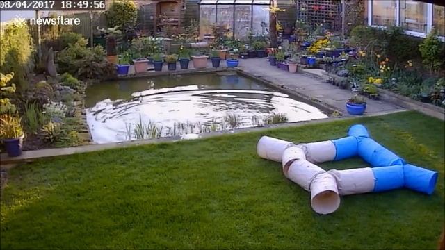 epic fail смотреть онлайн