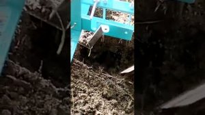 кротобойка в работе.