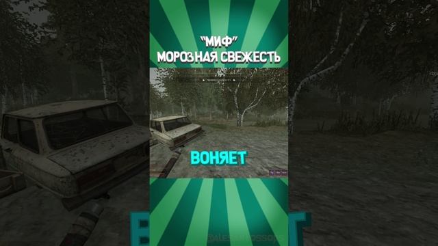 ⚡МИФ морозная СВЕЖЕСТЬ - STALCRAFT: X #alesantossops #shorts #монтаж #stalcraftx