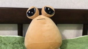 /ПЕРВОЕ ВИДЕО/ПОУ/РАЗГОВОРНОЕ ВИДЕО/