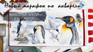 Рисуем акварелью животных Арктики и Антарктики. Полярные совы, белые медведи и тюлени.