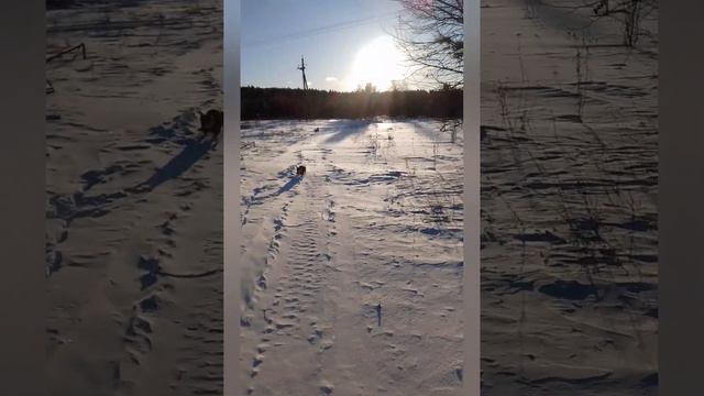 Заставь его замолчать. Как победить внутреннего критика 🥇Заставь его замолчать. t.me/Anna_Al6 смотреть онлайн